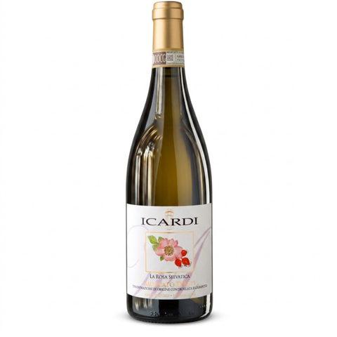 Icardi | "La Rosa Selvatica" Moscato d'Asti DOCG | 2025 | 750ml | Vinho Branco Doce Frisante Italiano